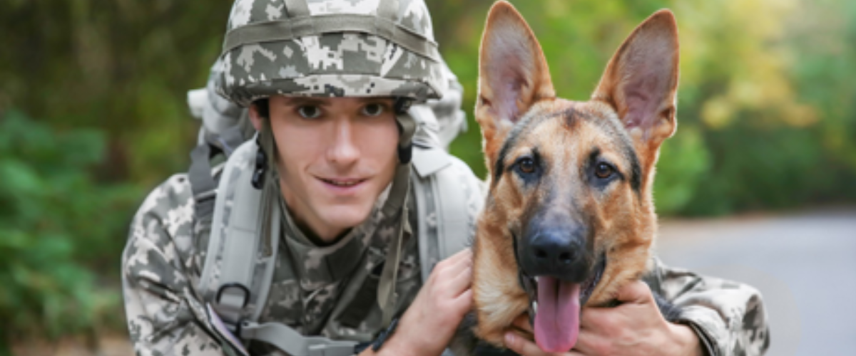 Soldier in BDUs with military canine