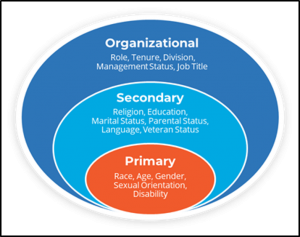 Affirmity's workforce demographics diagram with the organizational, secondary and primary goals we recommend tracking