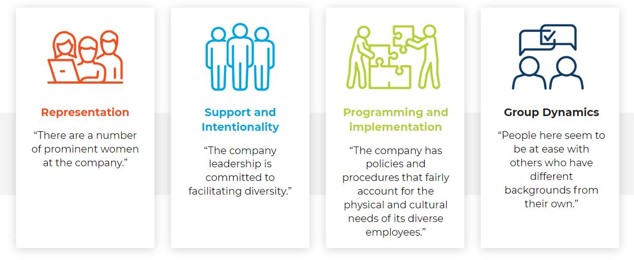 Examples of diversity subclimates used in workplace climate surveys to understand and nurture diversity and inclusion