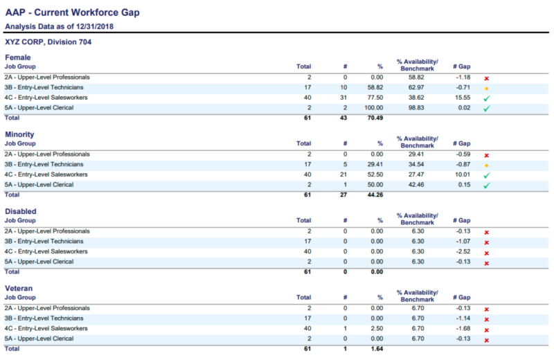 Example of a Current Workforce Gap view within Affirmity's CAAMS software
