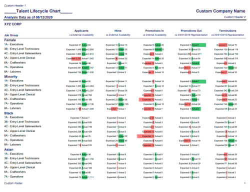 Example of a Talent Lifecycle Chart within Affirmity's CAAMS software