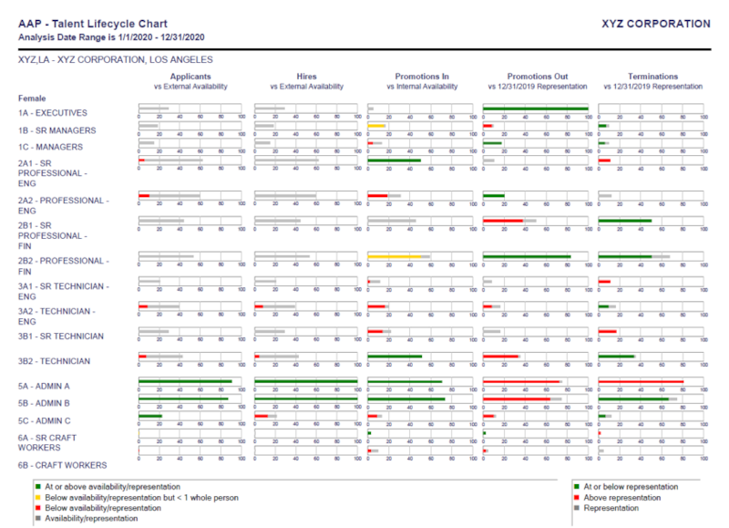 Example of a TotalView Talent Lifecycle Chart