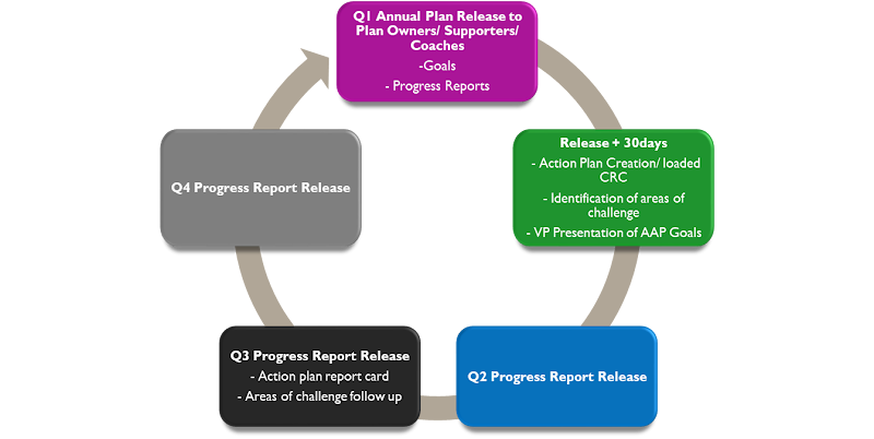 Example of quarterly tasks and rhythm for affirmative action annual plan.